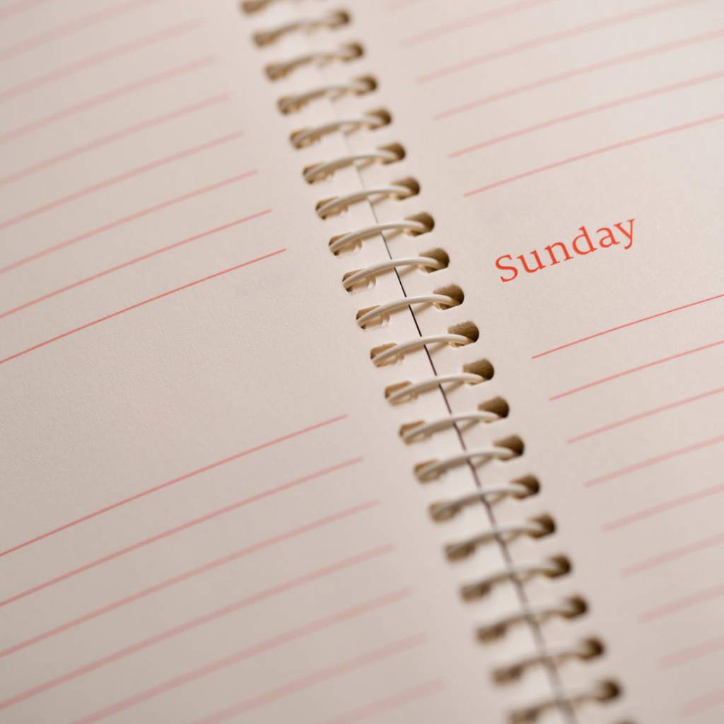 2026 Desk Diary - Day-a-Page Planner - Red